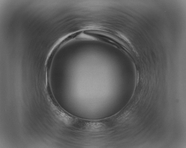 X0000057581323200509161052