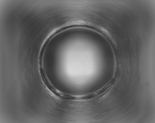 X0000057581326200509161052