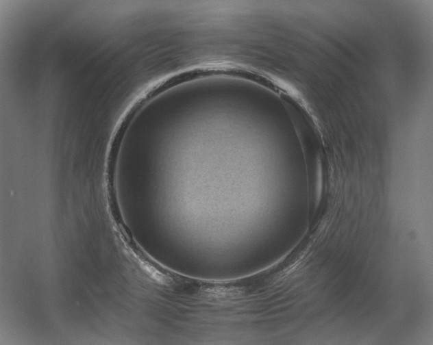 X0000057581327200509161052