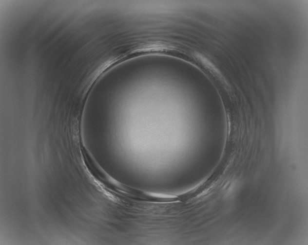 X0000057581329200509161052