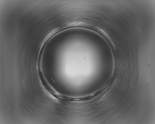 X0000057581330200509161052