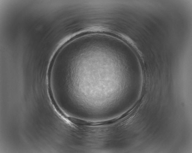 X0000057581335200509161052