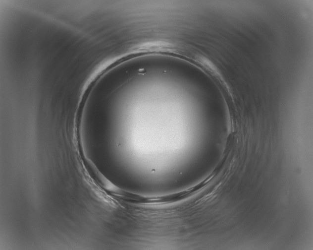 X0000057581336200509161052