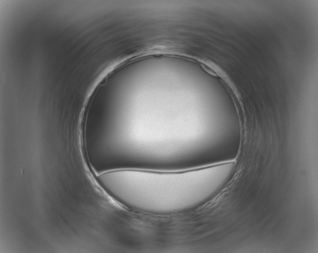 X0000057581341200509161052