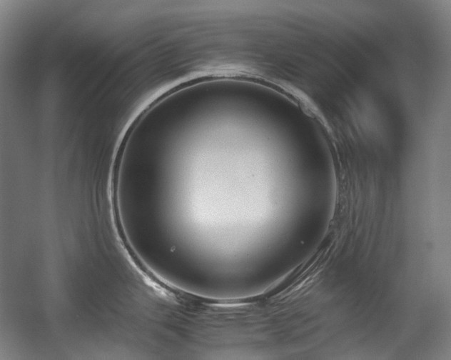 X0000057581343200509161052