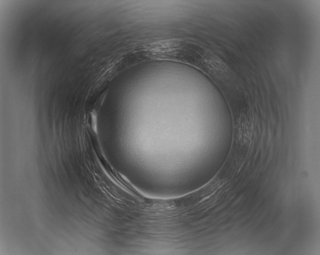 X0000057581346200509161051