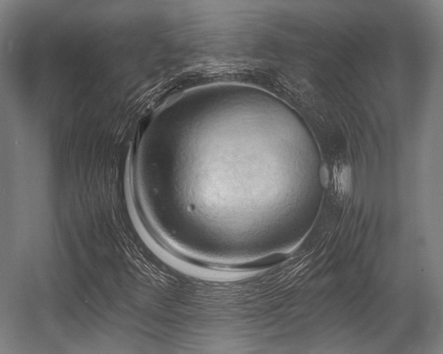 X0000057581348200509161051