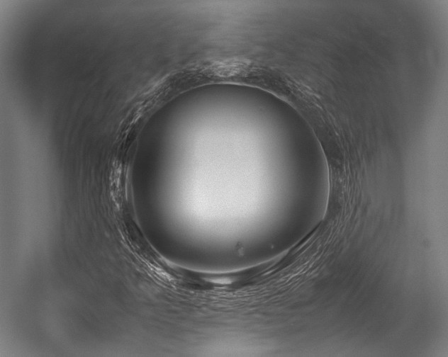 X0000057581349200509161051