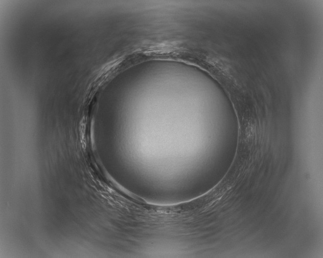 X0000057581350200509161051