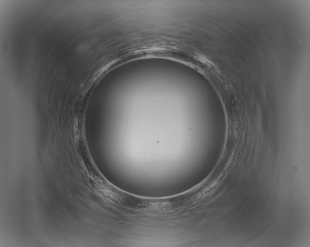 X0000057581353200509161051