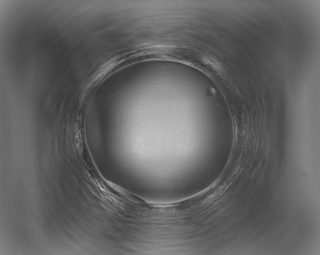 X0000057581354200509161051