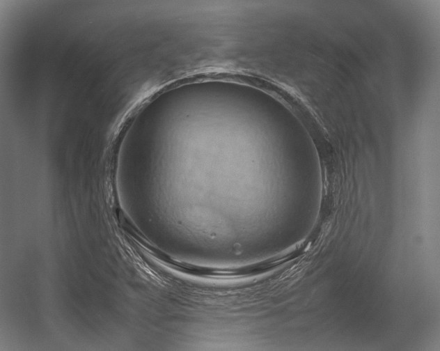 X0000057581359200509161051