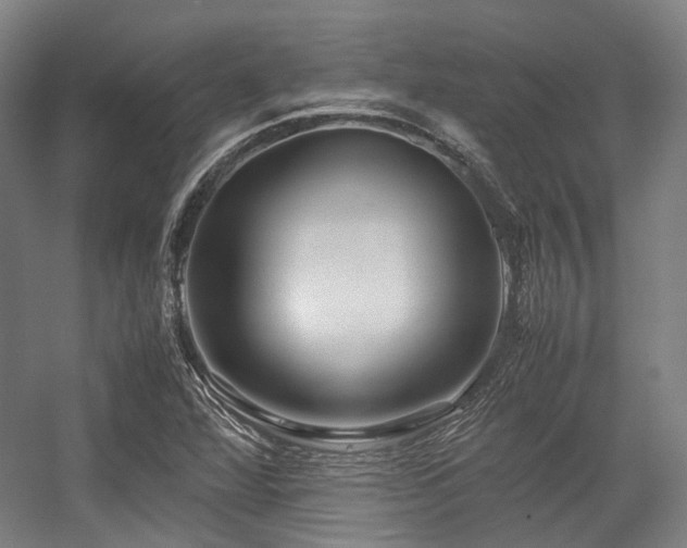 X0000057581360200509161051