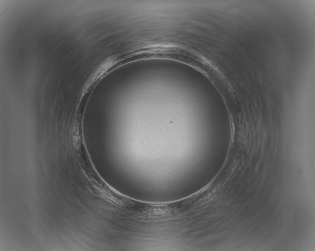 X0000057581362200509161051