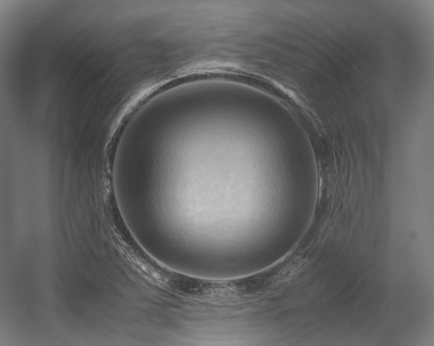 X0000057581363200509161051