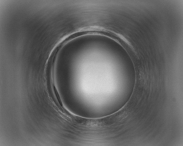 X0000057581364200509161051