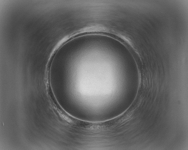 X0000057581366200509161051