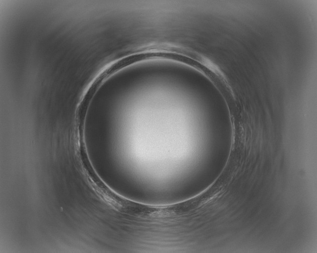 X0000057581368200509161051