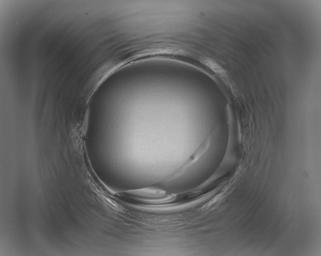 X0000057581369200509161051