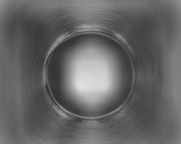 X0000057581370200509161051