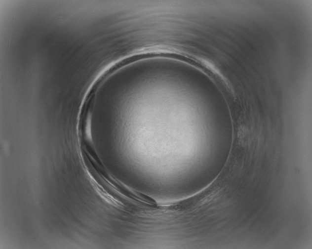 X0000057581372200509161051