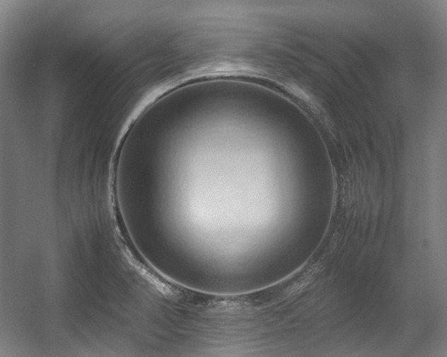 X0000057581374200509161051