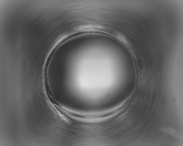 X0000057581384200509161051