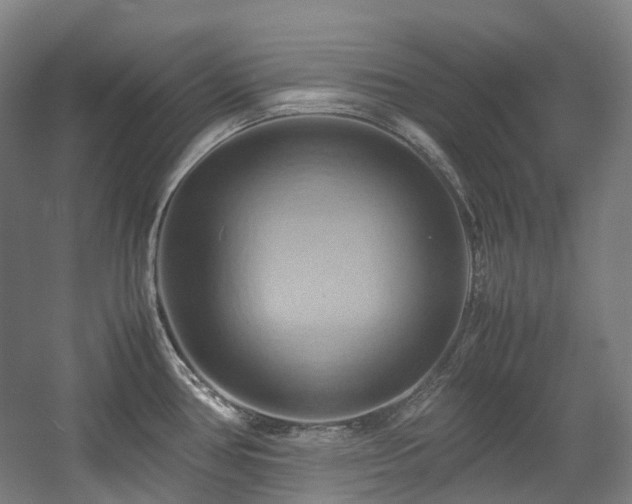 X0000057581386200509161050