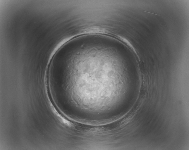 X0000057581387200509161050