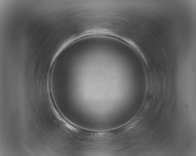 X0000057581390200509161050