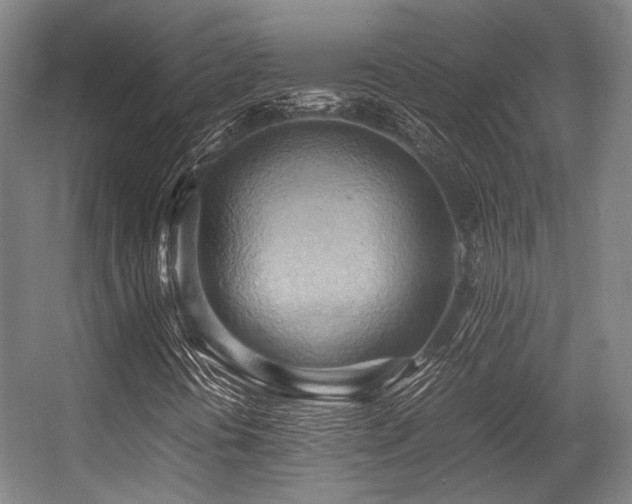 X0000057581394200509161050