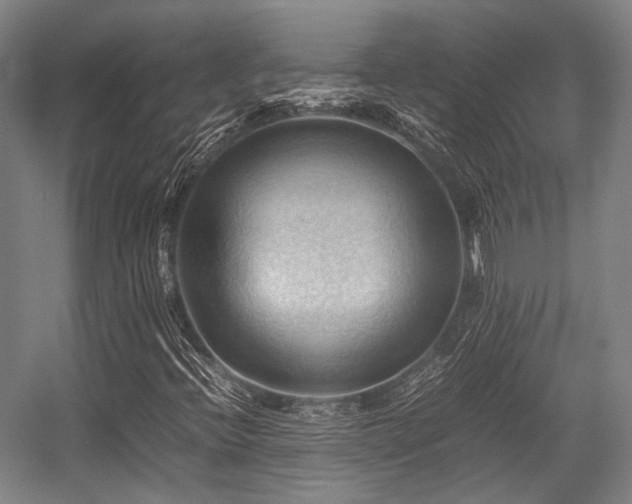 X0000057581396200509161050