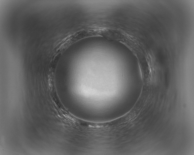 X0000057581397200509161050