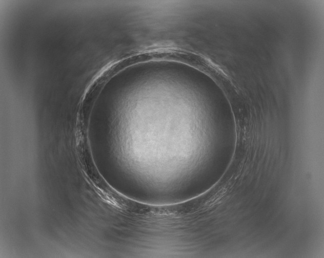 X0000057581400200509161050