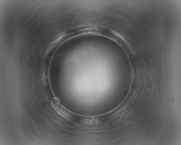 X0000057581403200509161050