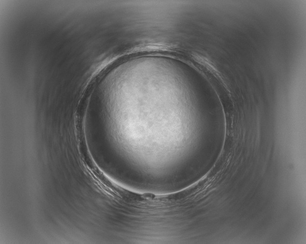 X0000057581404200509161050