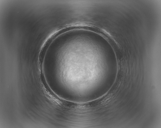 X0000057581408200509161050