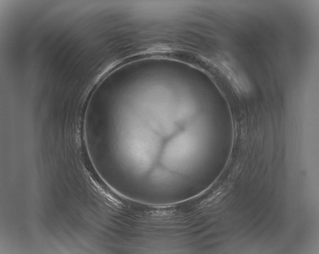 X0000057581409200509161050