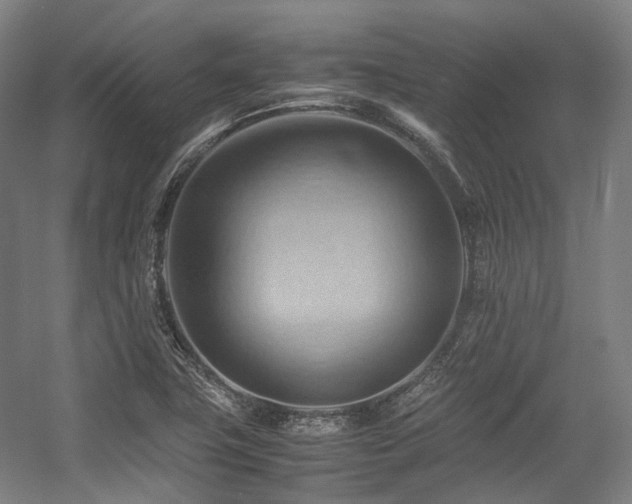X0000057581411200509161050