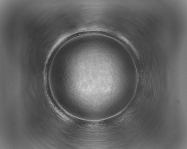X0000057581416200509161050