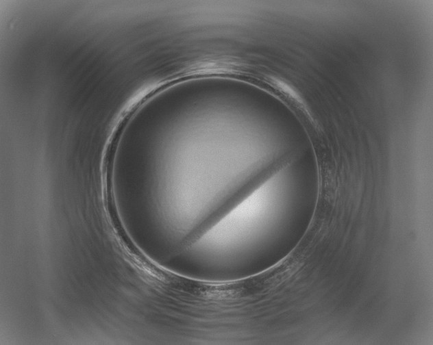 X0000057581419200509161050