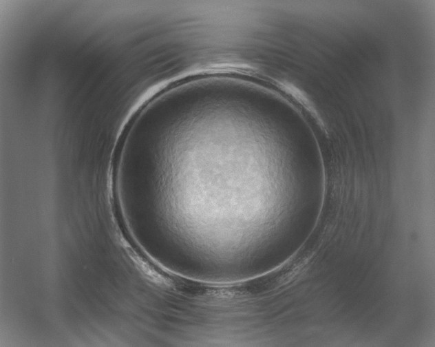 X0000057581420200509161050