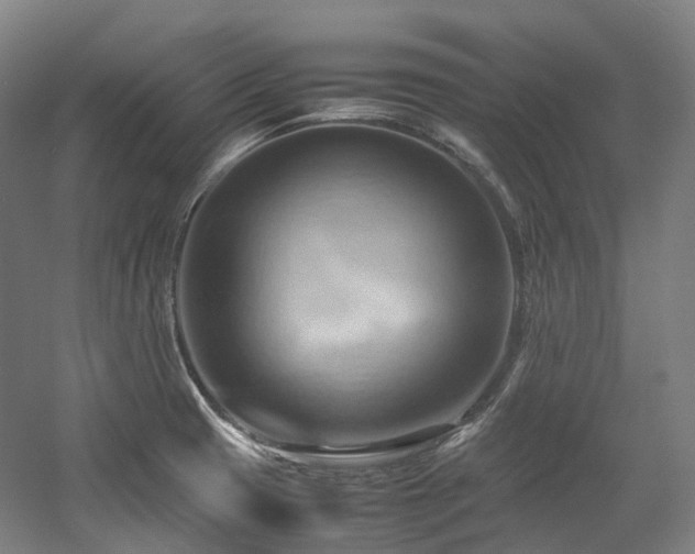 X0000057581425200509161050