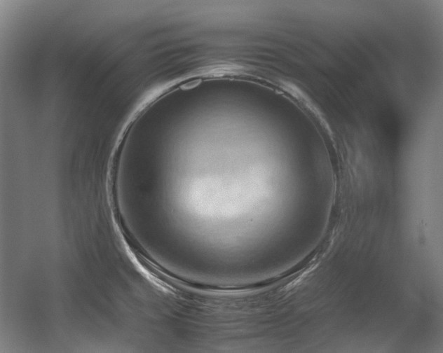 X0000057581429200509161050