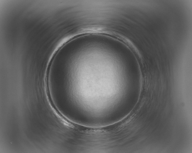 X0000057581432200509161050
