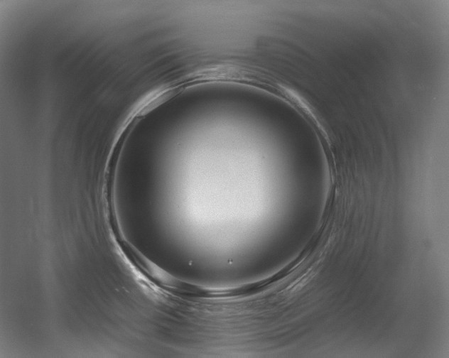 X0000057581434200509161050