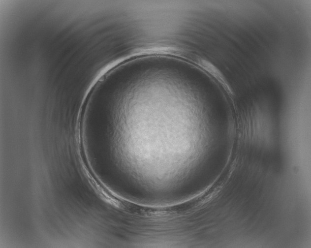X0000057581436200509161050