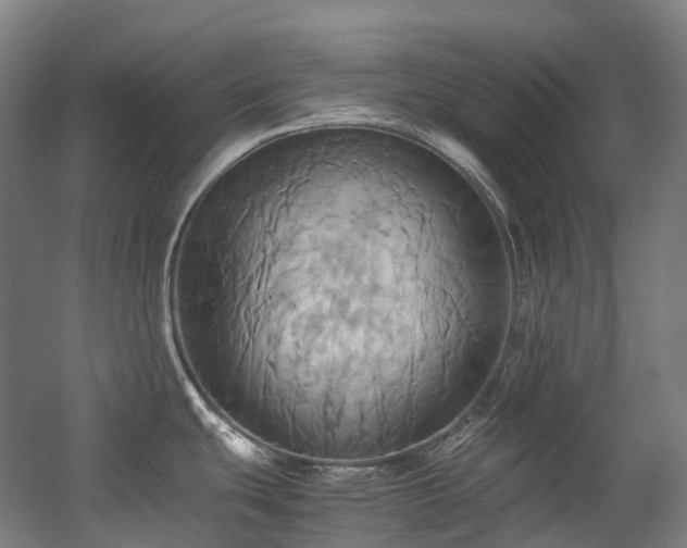 X0000057581439200509161050