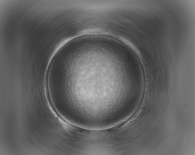 X0000057581440200509161050