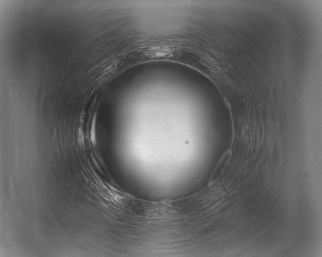 X0000057581442200509161050